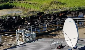 Image showing Kacific’s broadband solutions for enterprises in New Zealand.