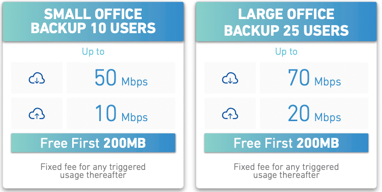 Large & small office backup plans